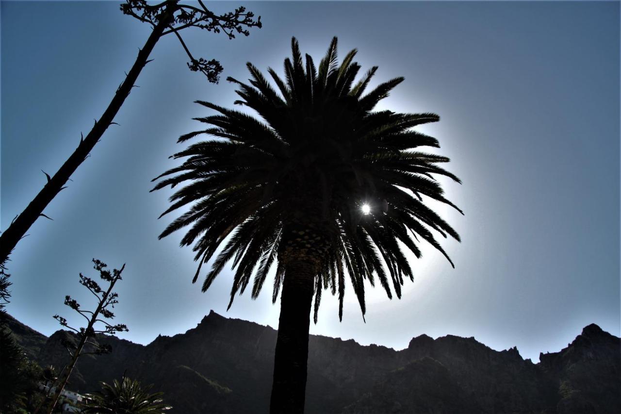 Tenerife Beach Apartment Adeje Costa Adeje  ภายนอก รูปภาพ